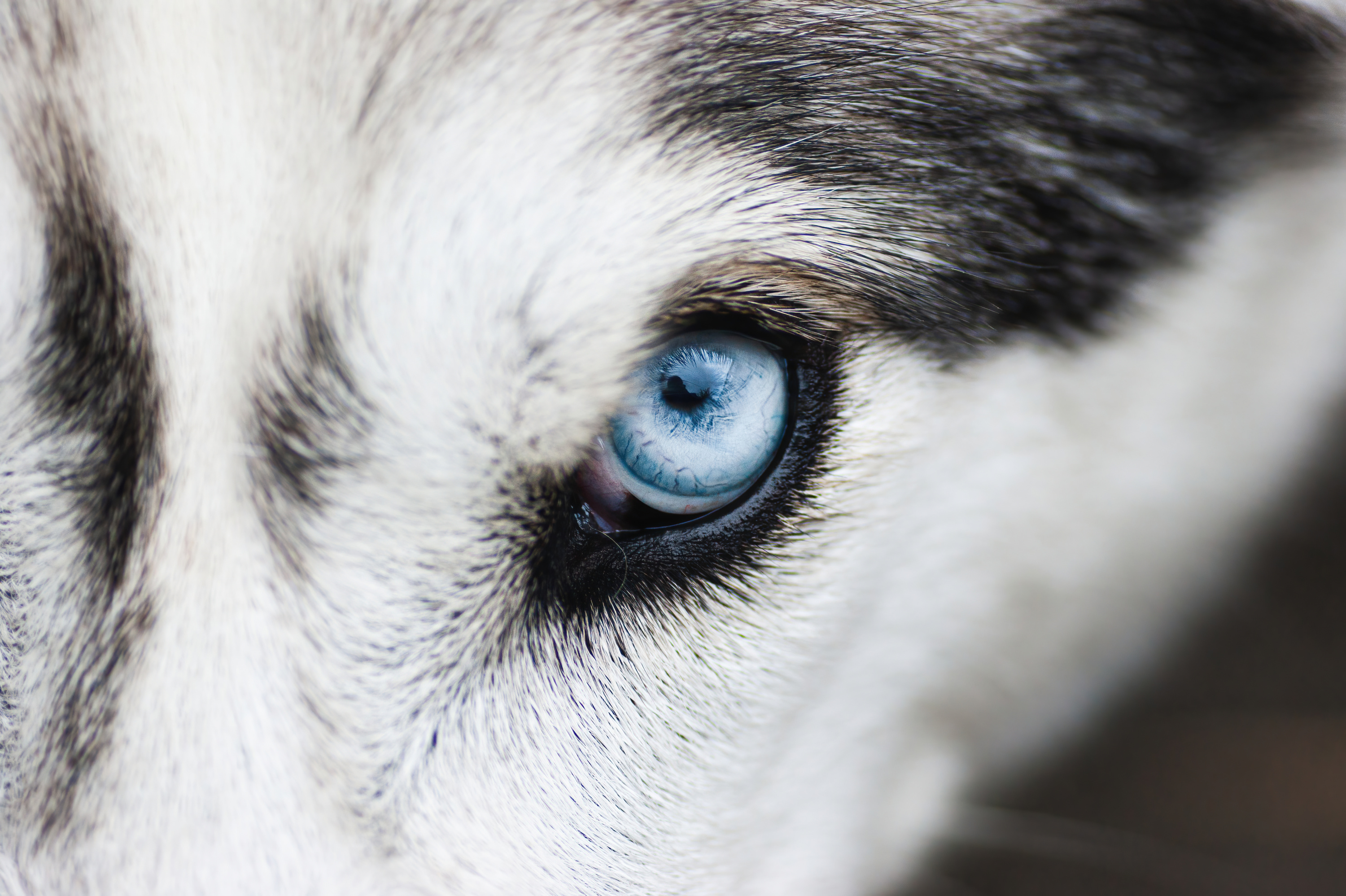 Titelbild der Galerie 'Favorites'