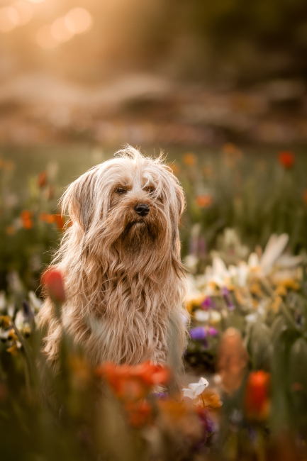 Titelbild der Galerie '2017-2025'