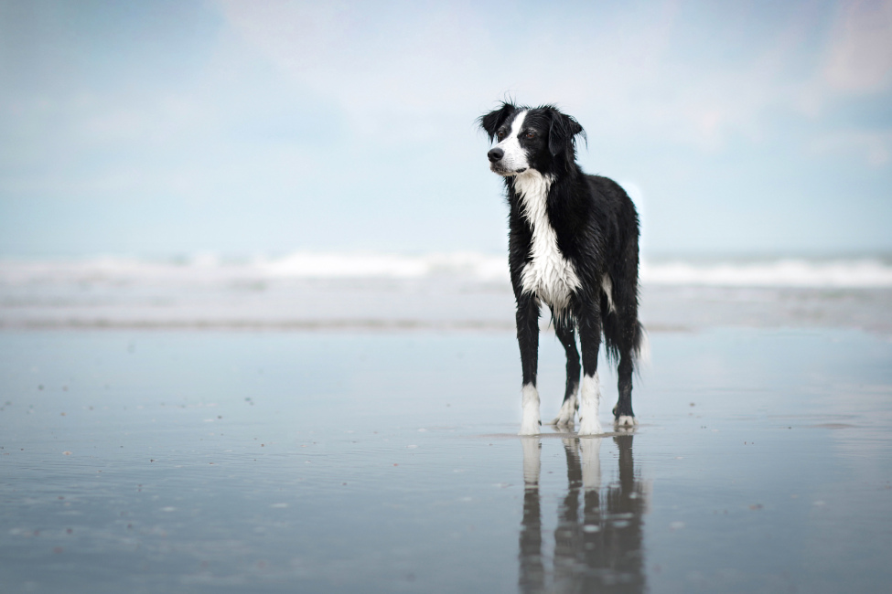 Galerie 2025 und weitere…