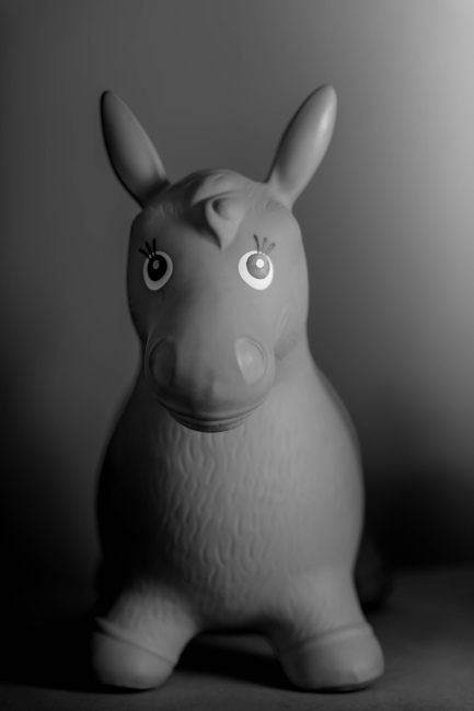 Galerie Ben, Enno & Ellie -Black & Whites 